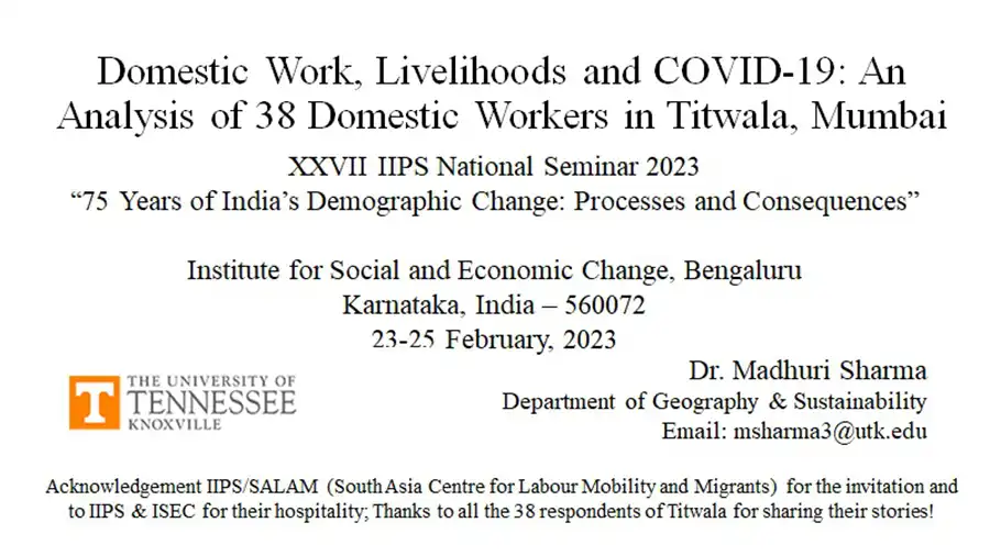 Flyer for Domestic Work, Livelihoods, and COVID-19