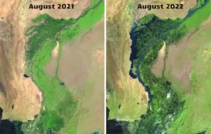 Landsat satellite images showing a side-by-side comparison of southern Pakistan in August 2021 (one year before the floods) and August 2022 (right), Images from The Conversation