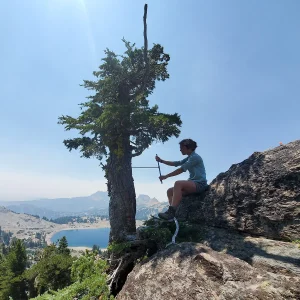 A researcher takes tree samples in the field