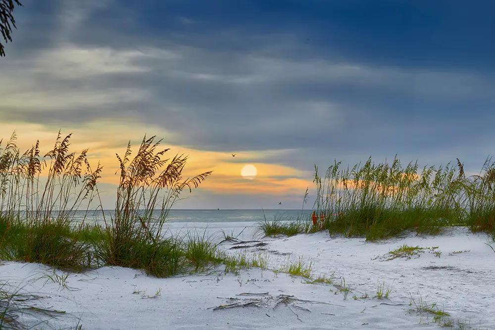 A Florida sunset overlooking white sand and seagrass on on the beach.